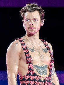 Harry Styles Image